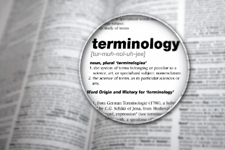 What are the Terminologies used for Blockchain Identity Management Schemes?